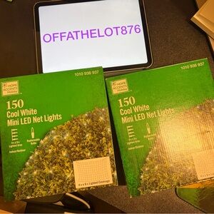 Home Accents Holiday Cool White Mini LED Net Lights